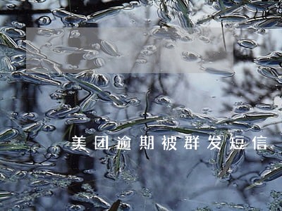 美团逾期被群发短信 美团逾期被群发短信