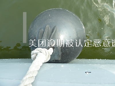 美团逾期被认定恶意透支 美团逾期被认定恶意透支