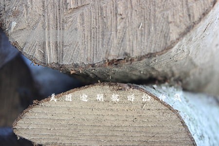 美团逾期被诉讼仲裁 美团逾期被诉讼仲裁