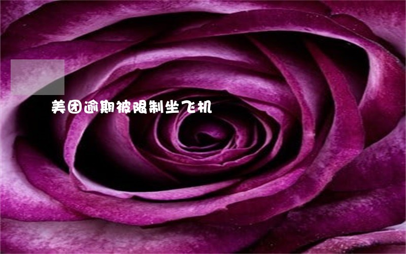 美团逾期被限制坐飞机 美团逾期被限制坐飞机