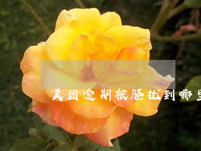 美团逾期被骚扰到哪里投诉 美团逾期被骚扰到哪里投诉