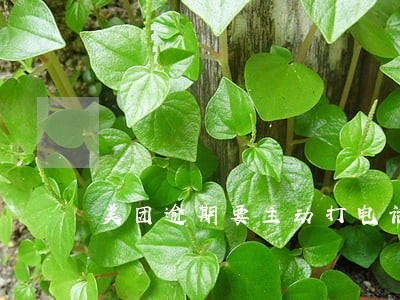 美团逾期要主动打电话协商吗 美团逾期要主动打电话协商吗