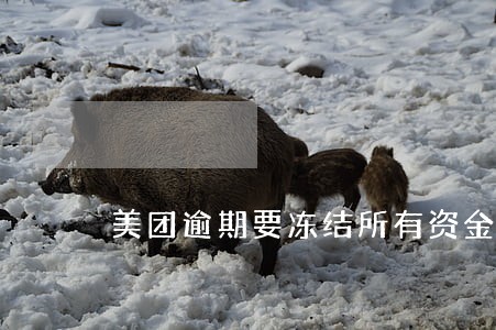 美团逾期要冻结所有资金账户 美团逾期要冻结所有资金账户