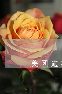 美团逾期要去家里是真的吗 美团逾期要去家里是真的吗