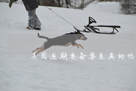 美团逾期要备案是真的吗 美团逾期要备案是真的吗