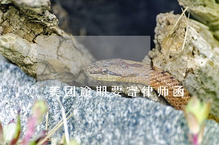 美团逾期要寄律师函 美团逾期要寄律师函