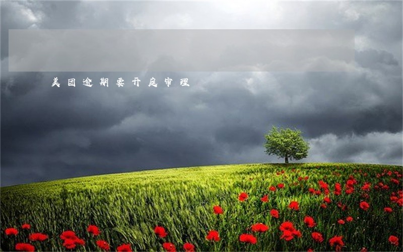 美团逾期要开庭审理 美团逾期要开庭审理