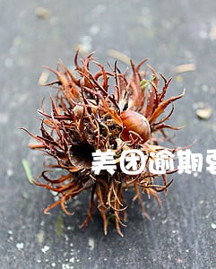 美团逾期要我全部还完 美团逾期要我全部还完