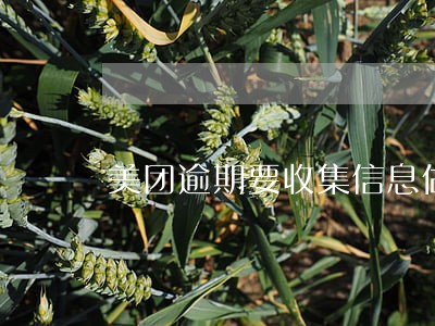 美团逾期要收集信息做什么 美团逾期要收集信息做什么