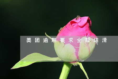 美团逾期要求全款结清 美团逾期要求全款结清