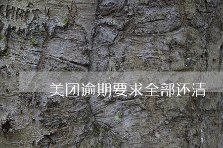美团逾期要求全部还清 美团逾期要求全部还清