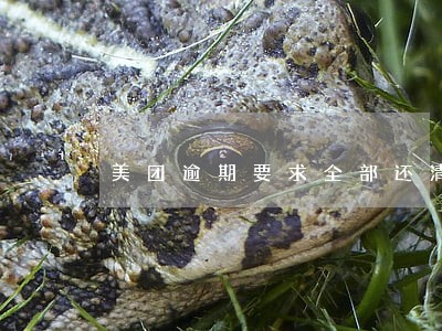 美团逾期要求全部还清吗 美团逾期要求全部还清吗