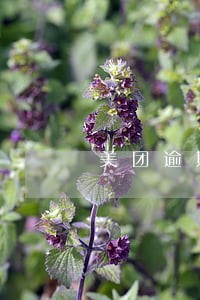 美团逾期要求归还全部欠款 美团逾期要求归还全部欠款