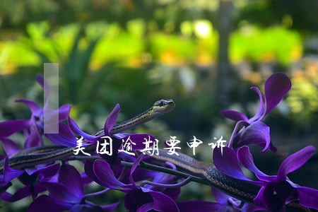 美团逾期要申诉 美团逾期要申诉