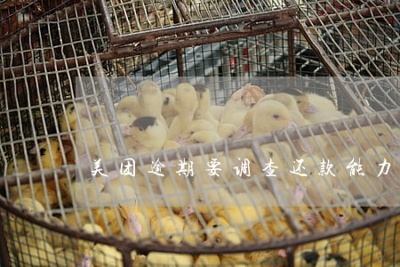 美团逾期要调查还款能力 美团逾期要调查还款能力