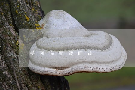 美团逾期要面谈 美团逾期要面谈