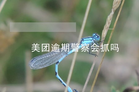 美团逾期警察会抓吗 美团逾期警察会抓吗