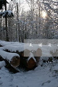 美团逾期订单 美团逾期订单