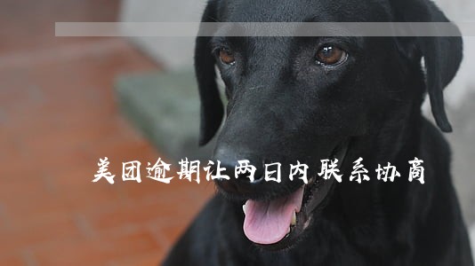 美团逾期让两日内联系协商