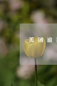 美团逾期让我出庭