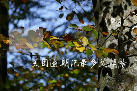 美团逾期记录多久消除 美团逾期记录多久消除