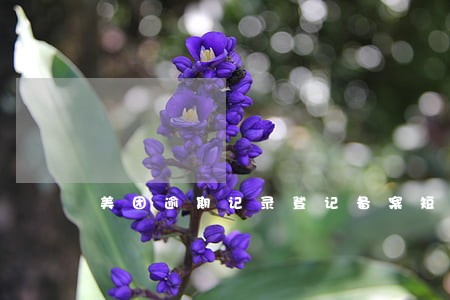 美团逾期记录登记备案短信 美团逾期记录登记备案短信