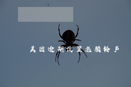 美团逾期设置老赖铃声 美团逾期设置老赖铃声