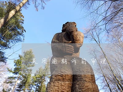 美团逾期诉前审理 美团逾期诉前审理