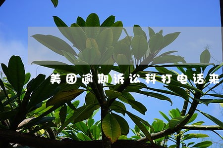 美团逾期诉讼科打电话来 美团逾期诉讼科打电话来