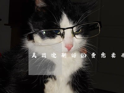 美团逾期诉讼费需要本人交吗 美团逾期诉讼费需要本人交吗