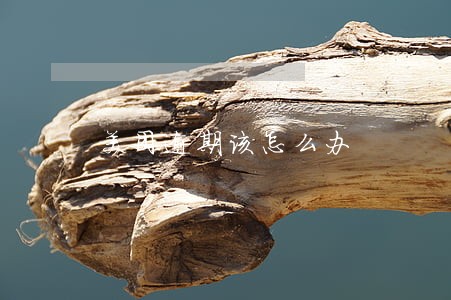 美团逾期该怎么办 美团逾期该怎么办