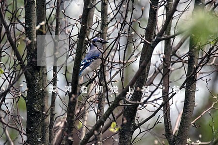 美团逾期说上报户籍 美团逾期说上报户籍