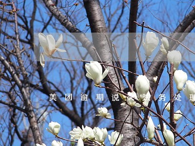 美团逾期说交法务处理 美团逾期说交法务处理