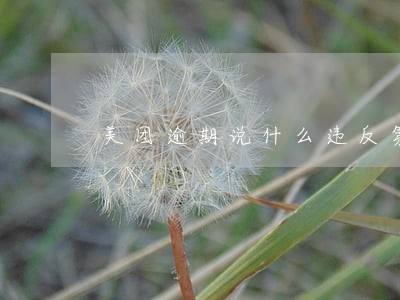 美团逾期说什么违反第224条 美团逾期说什么违反第224条