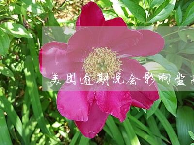 美团逾期说会影响坐高铁飞机 美团逾期说会影响坐高铁飞机