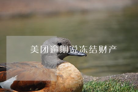 美团逾期说冻结财产