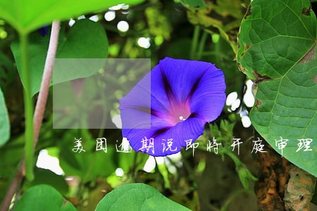 美团逾期说即将开庭审理是真的吗