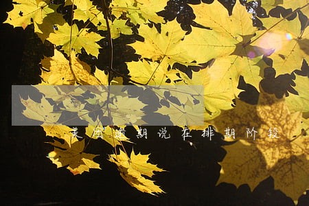 美团逾期说在排期阶段