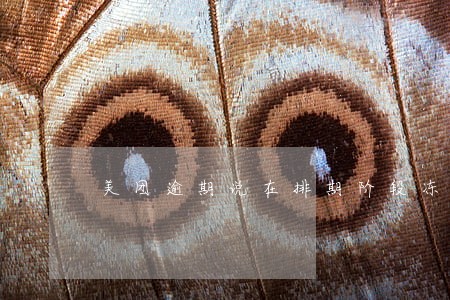 美团逾期说在排期阶段冻结 美团逾期说在排期阶段冻结