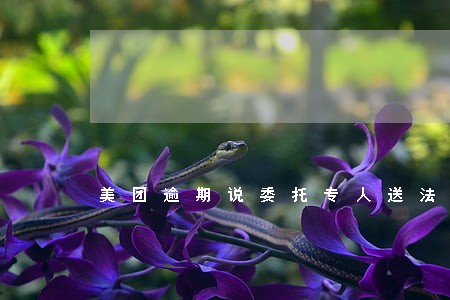 美团逾期说委托专人送法律信件