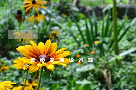 美团逾期说开庭 美团逾期说开庭