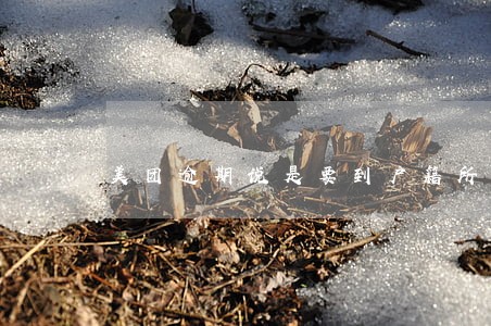 美团逾期说是要到户籍所在地 美团逾期说是要到户籍所在地