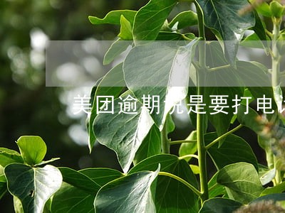 美团逾期说是要打电话给家里人 美团逾期说是要打电话给家里人