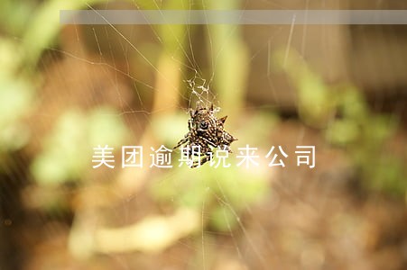 美团逾期说来公司 美团逾期说来公司