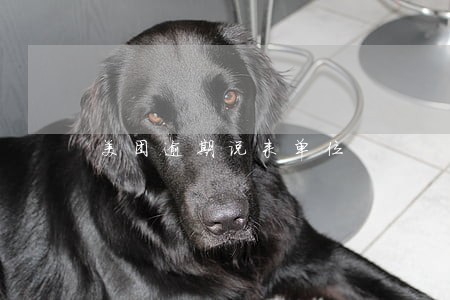 美团逾期说来单位 美团逾期说来单位