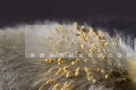 美团逾期说案件到公安局了 美团逾期说案件到公安局了