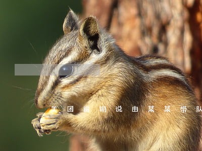 美团逾期说由某某带队上门 美团逾期说由某某带队上门