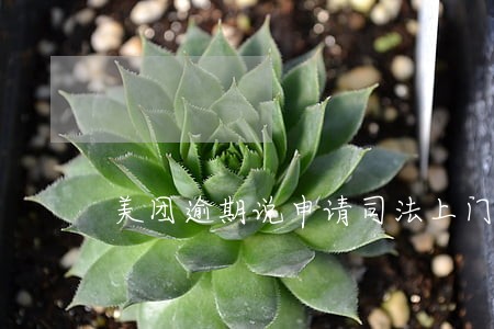 美团逾期说申请司法上门