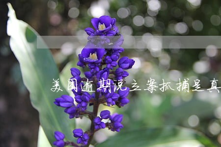 美团逾期说立案抓捕是真的吗 美团逾期说立案抓捕是真的吗