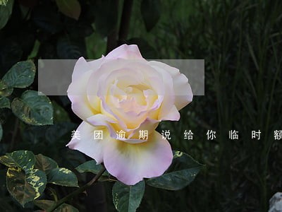 美团逾期说给你临时额度 美团逾期说给你临时额度